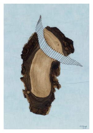 waltraud schroll_holzskulpturen_collagen_18