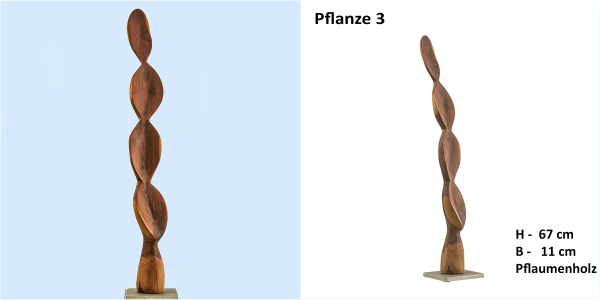 Pflanze_3__Holzskulpturen_Waltraud-Schroll