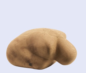 Waltraud-Schroll_015